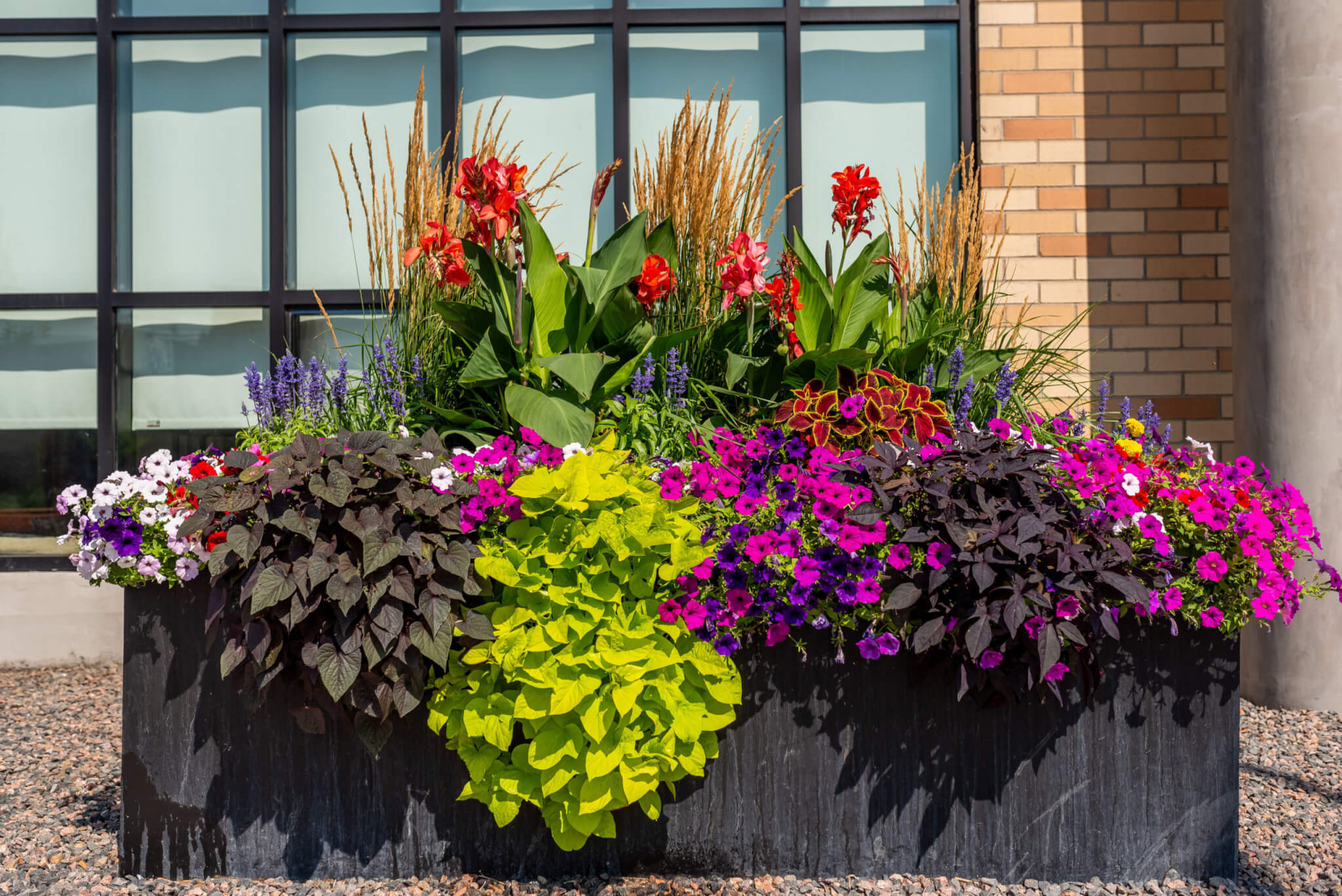 A big black stone flower pot is filled with different types of plants and colour flower plants