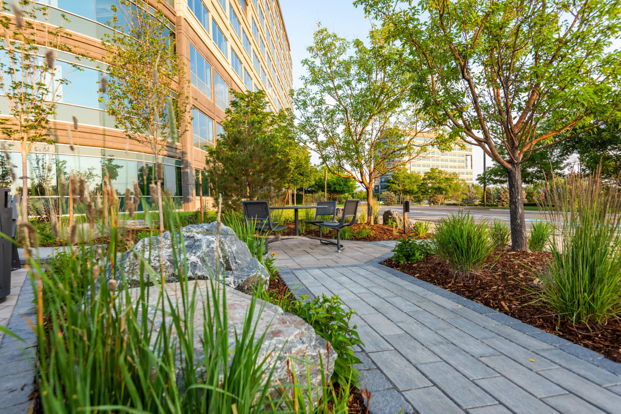 Sitting area with metal chairs and table along with grass plants and trees outside of the building