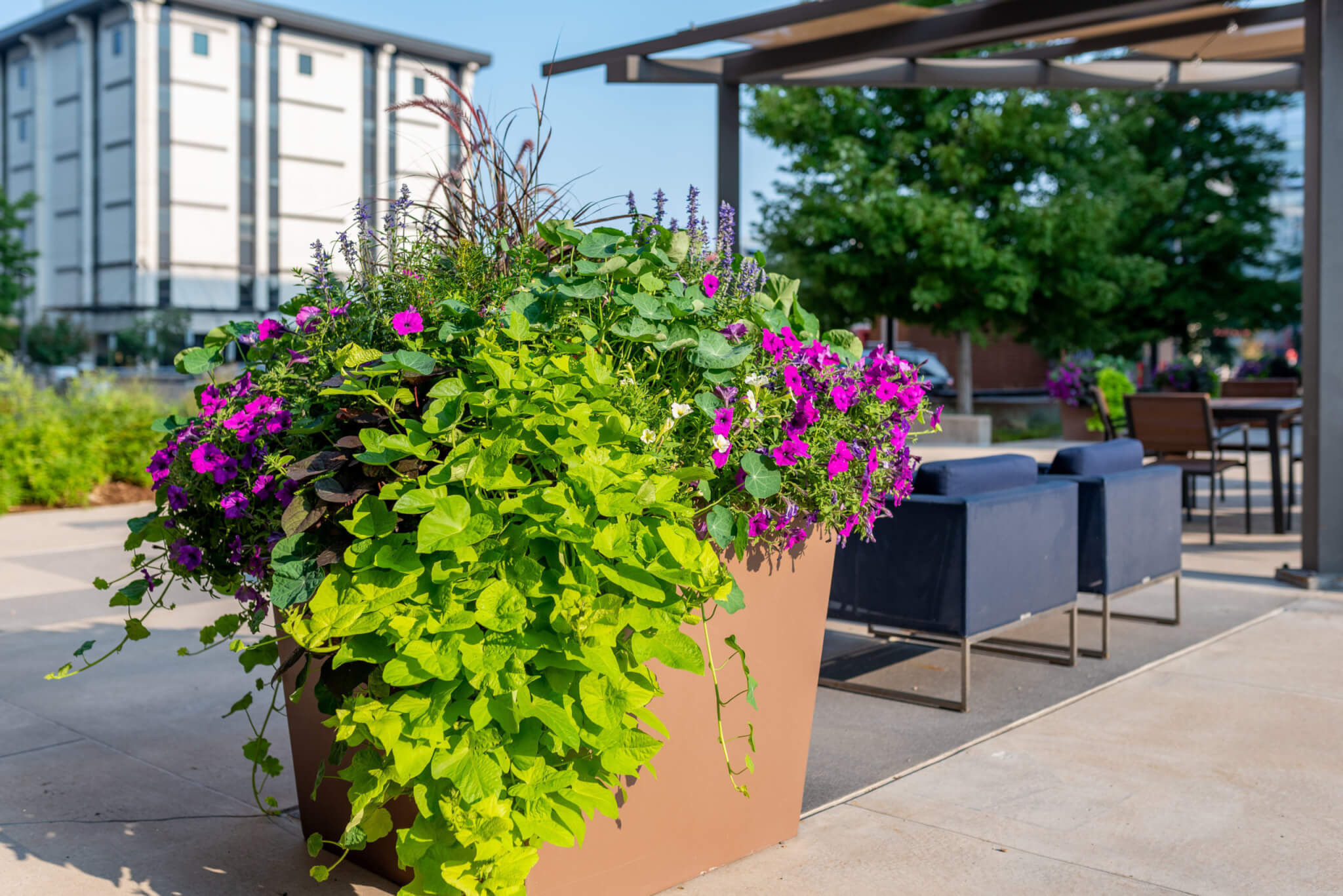 A big flower pots filled with plants and colourful flower plants in lawn area