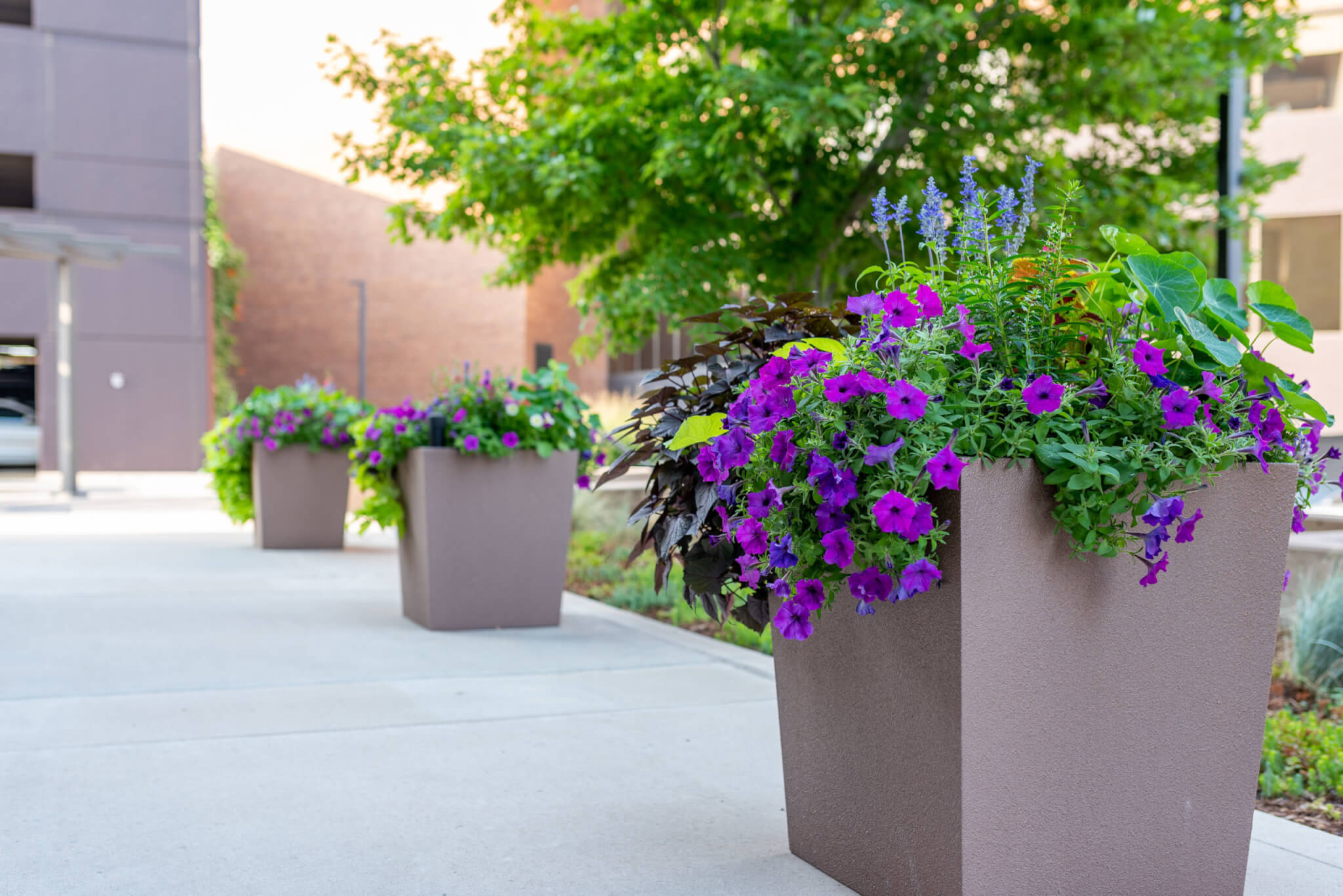A big flower pots filled with plants and colourful flower plants on side of the pathway