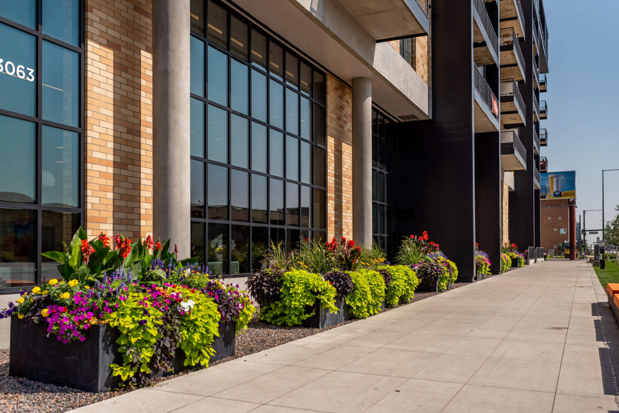 Pathway in the building with windows and big flower pot filled with colourful flower plants