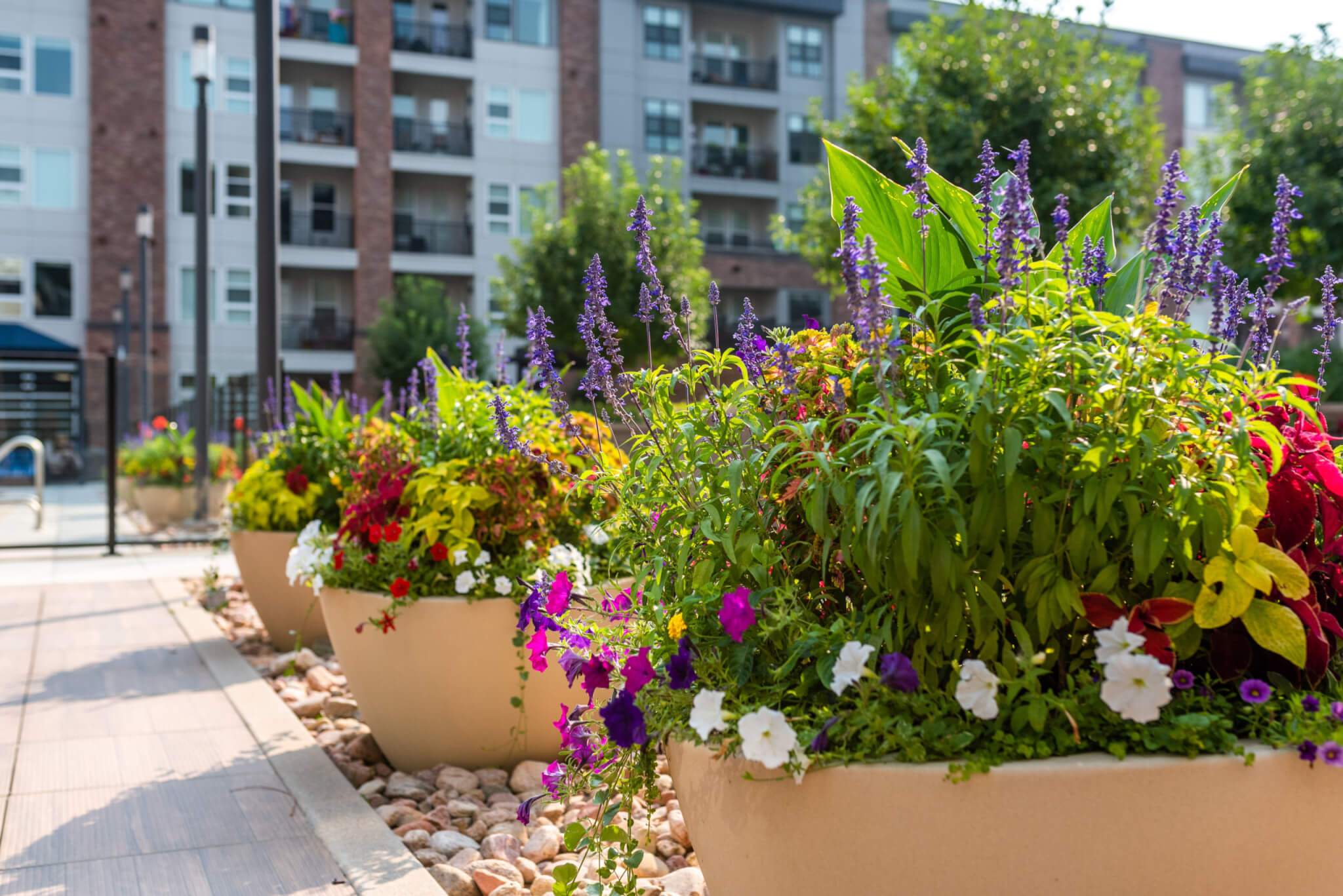 A big flower pots filled with different types of plants and colourful flower plants for the garden in front of a big building