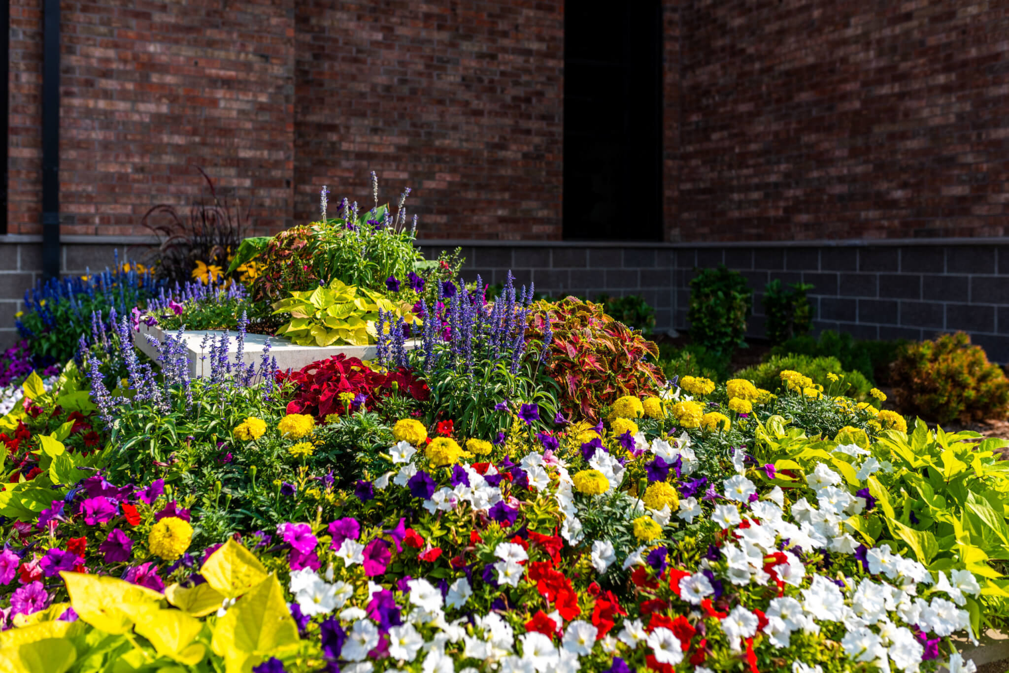 Concrete flower pot with Different colour flower plants are out side of a building