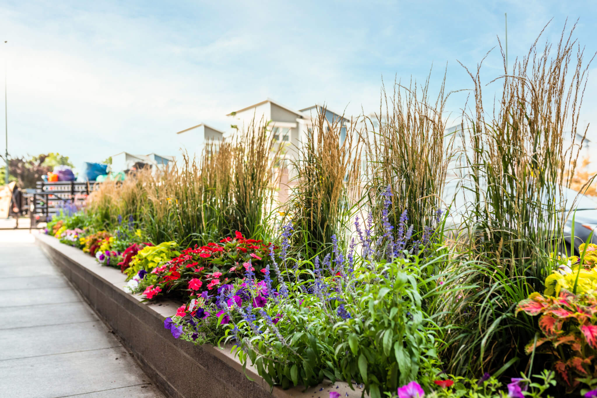 The side of the pathway in front of the building filled with different plants and colour flower plants