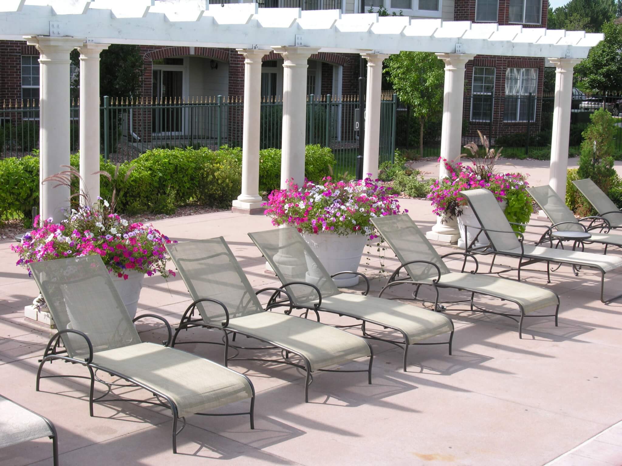 Lawn area with reclaining chairs and big flower pots with colour flower plants