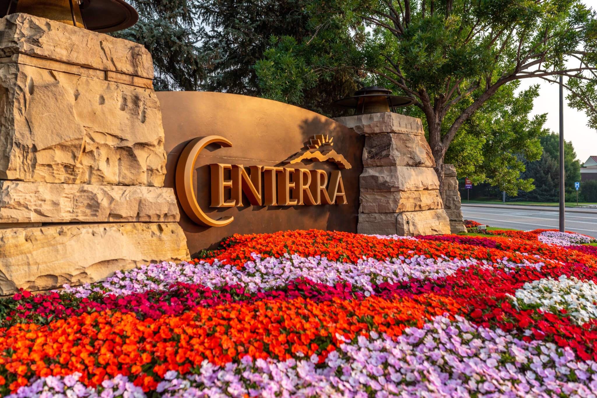 Red, purple colour flower bed in front of centerra entrance