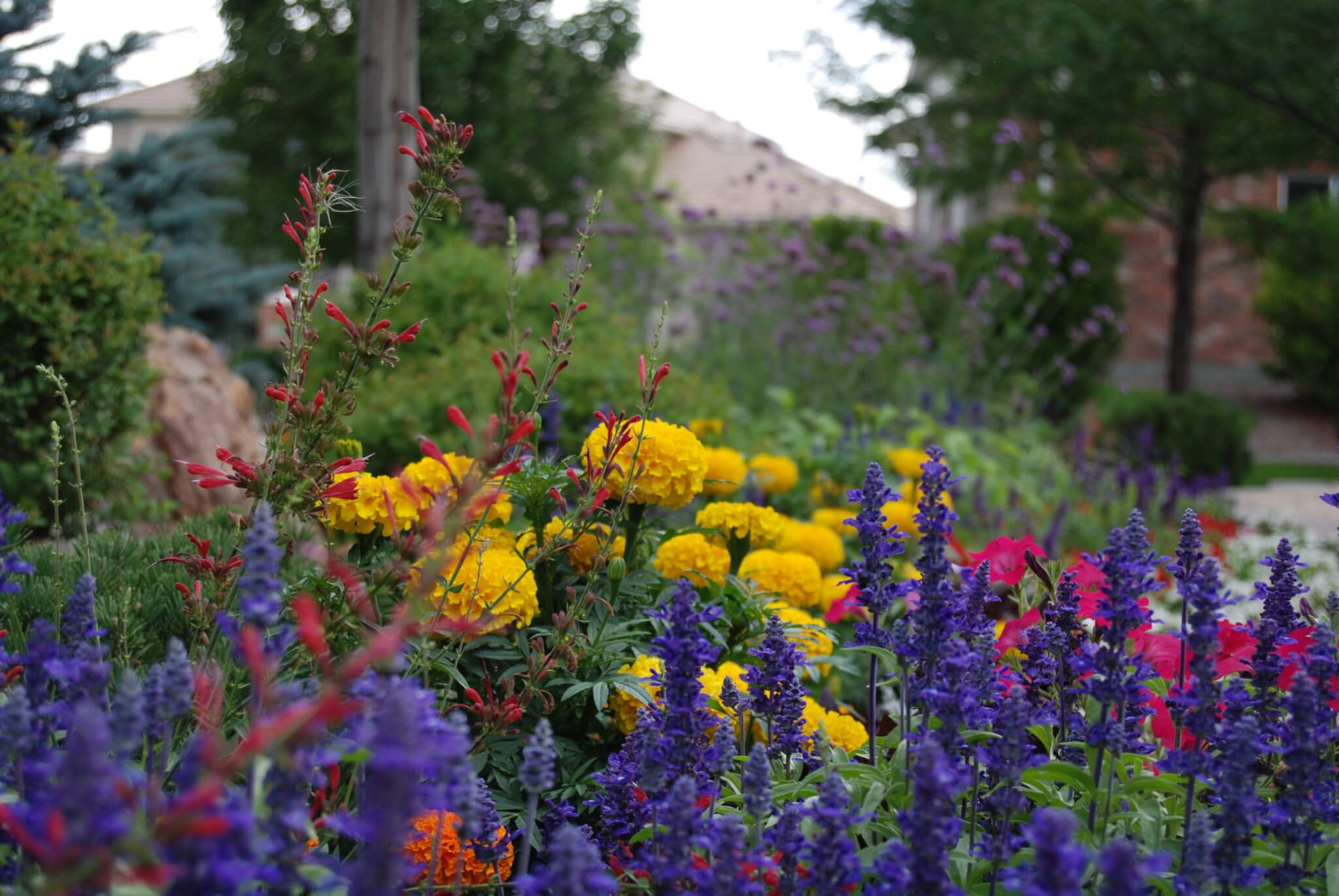 Pathway in the building with colourful flower plants and trees