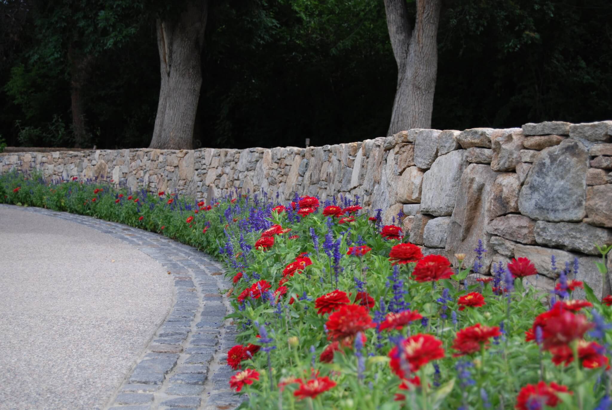 One side of a road is filled with different flower plants