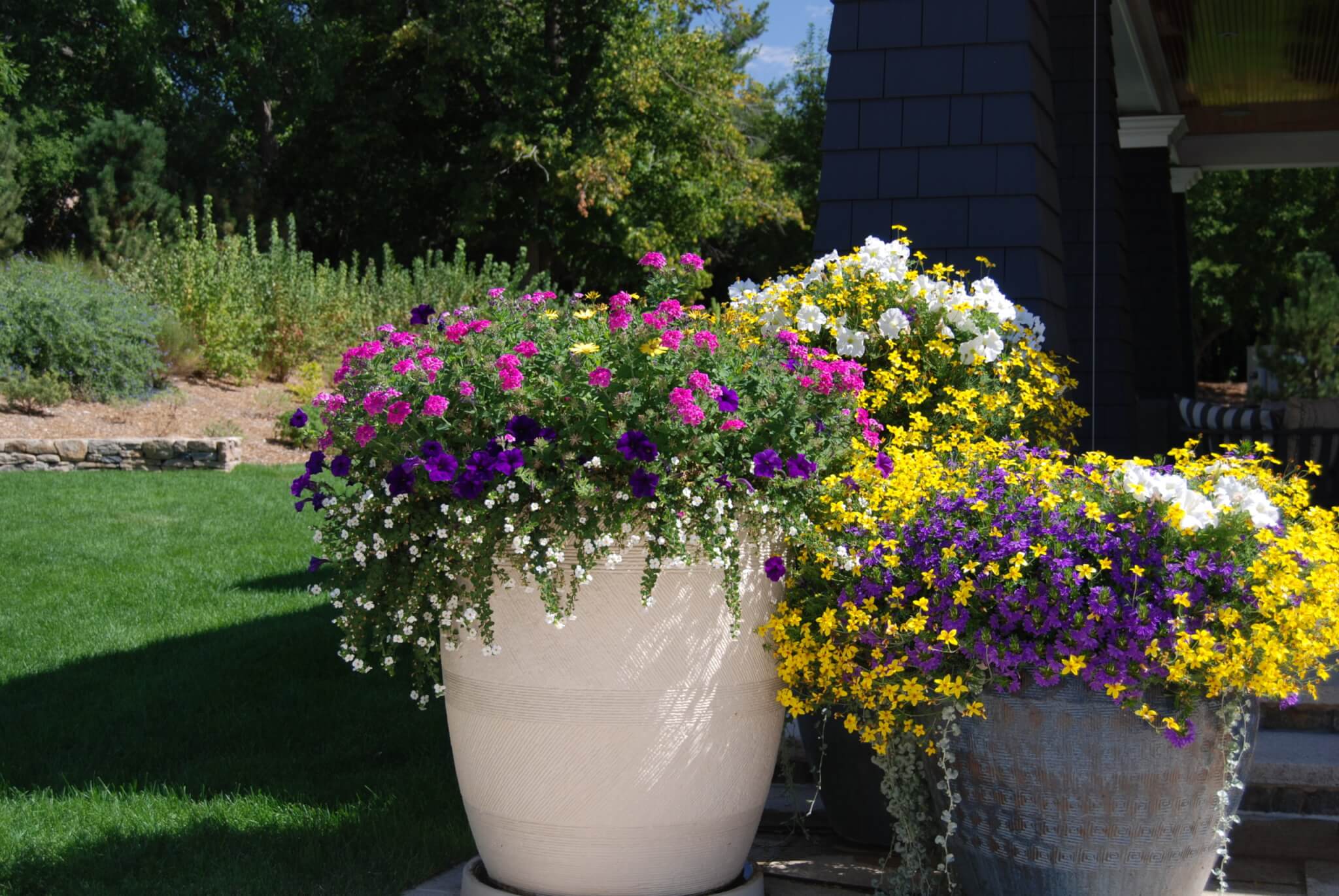 A big concrete flower pots with coloured flowers plants