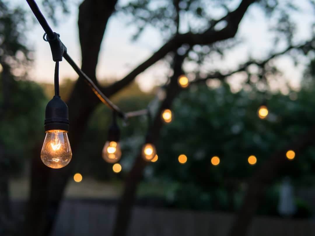 String Lights Hanging from Trees