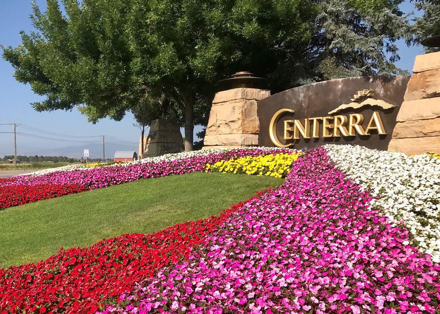 lawn in front of a building sign filled with multicolour flower bed