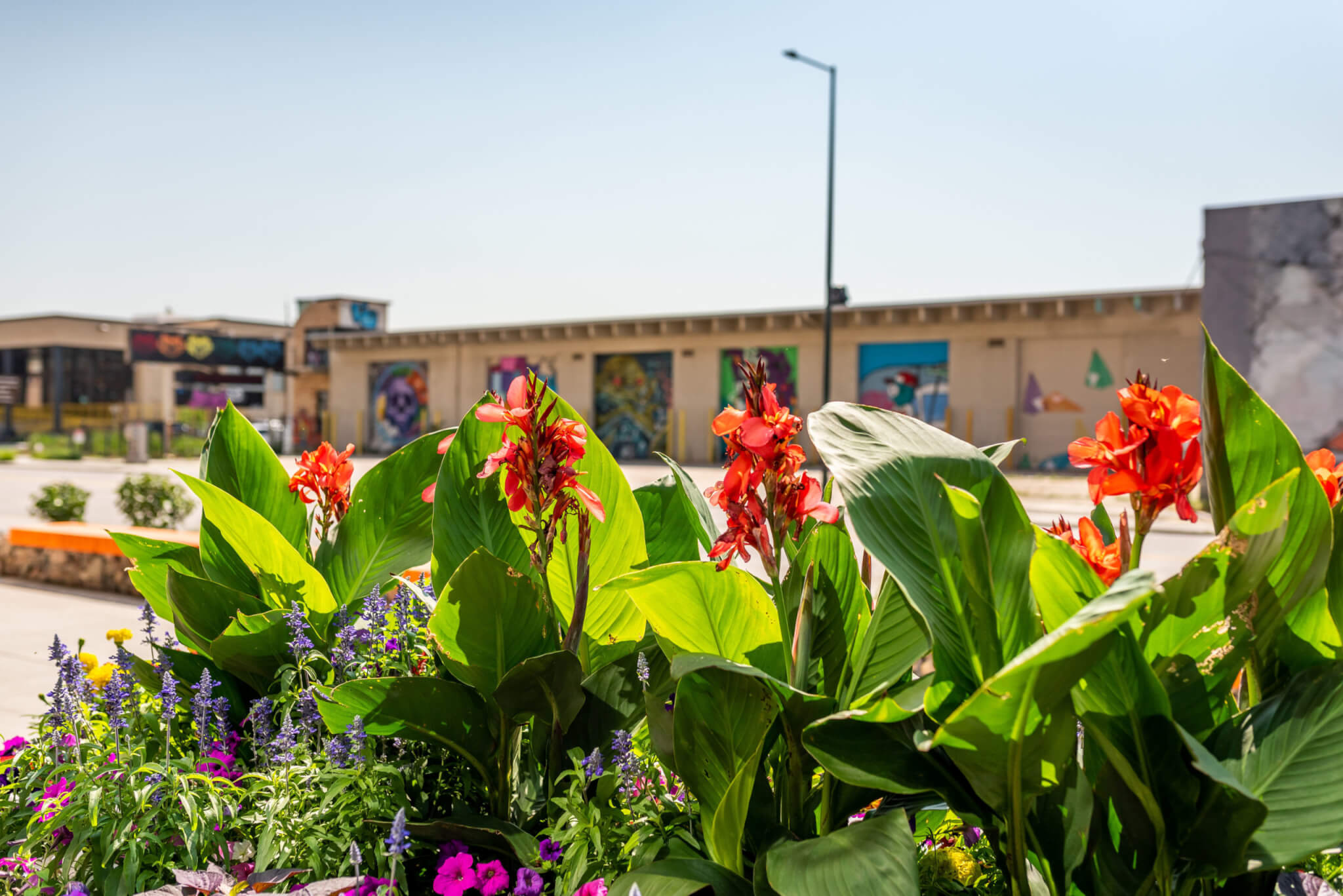 Different seasonal color flowers outside of a mall