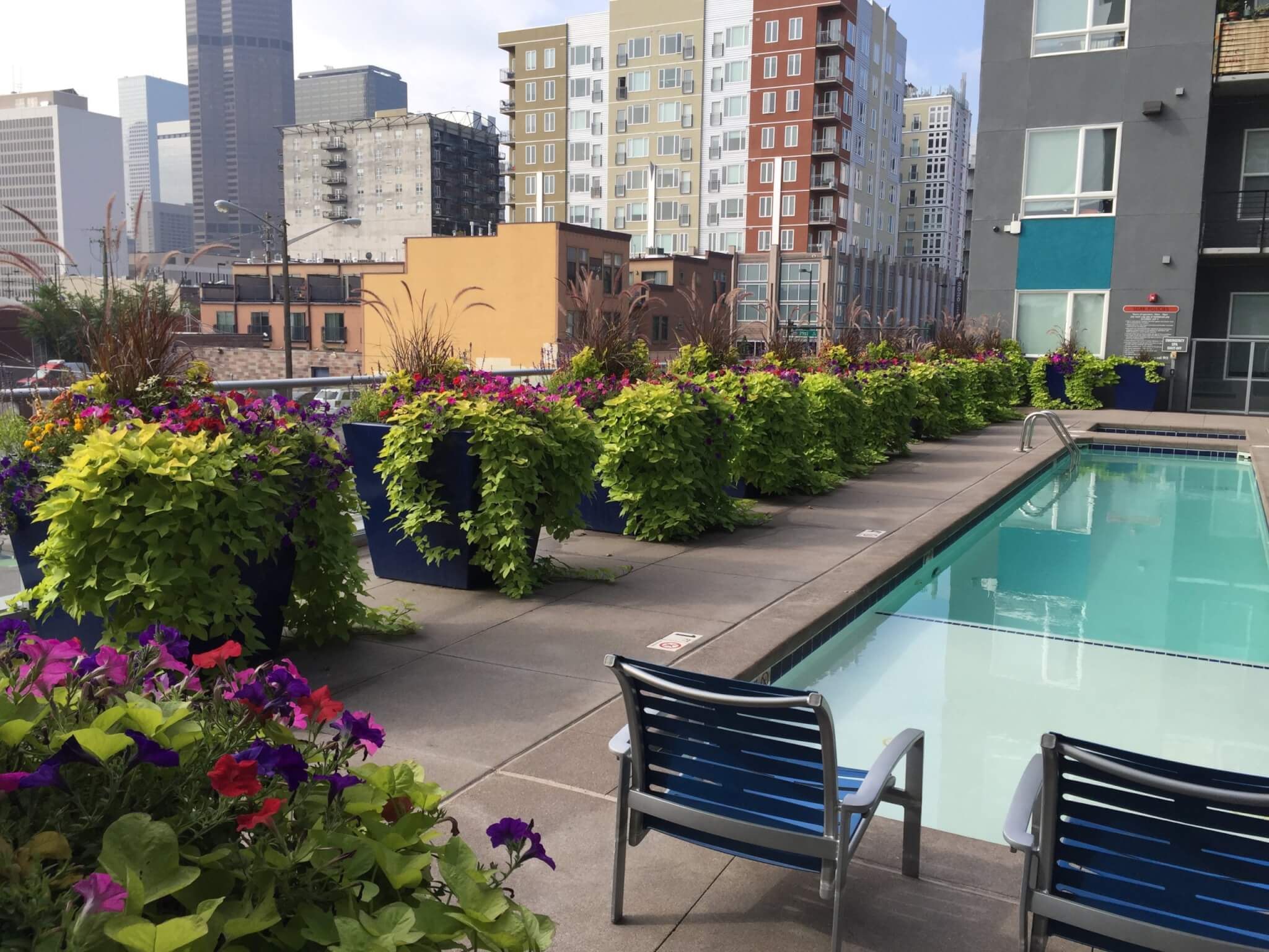 Pool area filled with big flower pots with creeper plants and flower plants