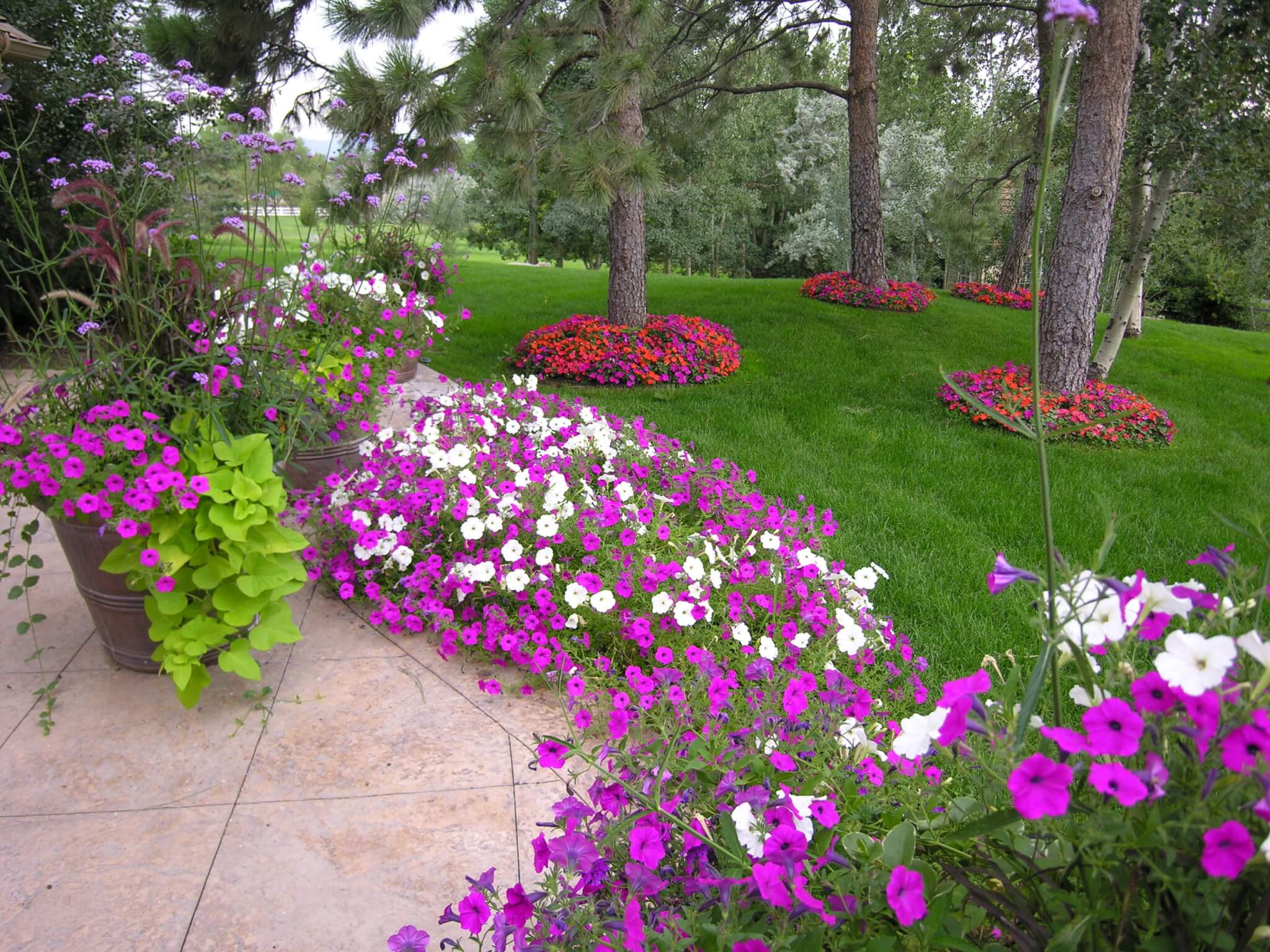The garden is filled with trees, colourful flower plants, flower pots and plants