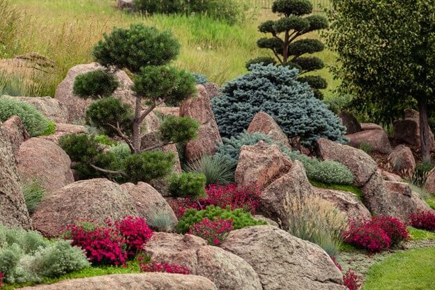 Landscape Adorned with Colorful Exotic Evergreen Trees
