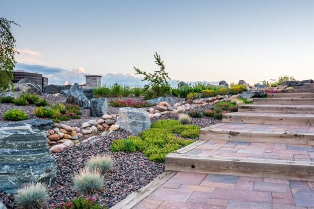 Steps Adorned by Drought-Tolerant Landscaping