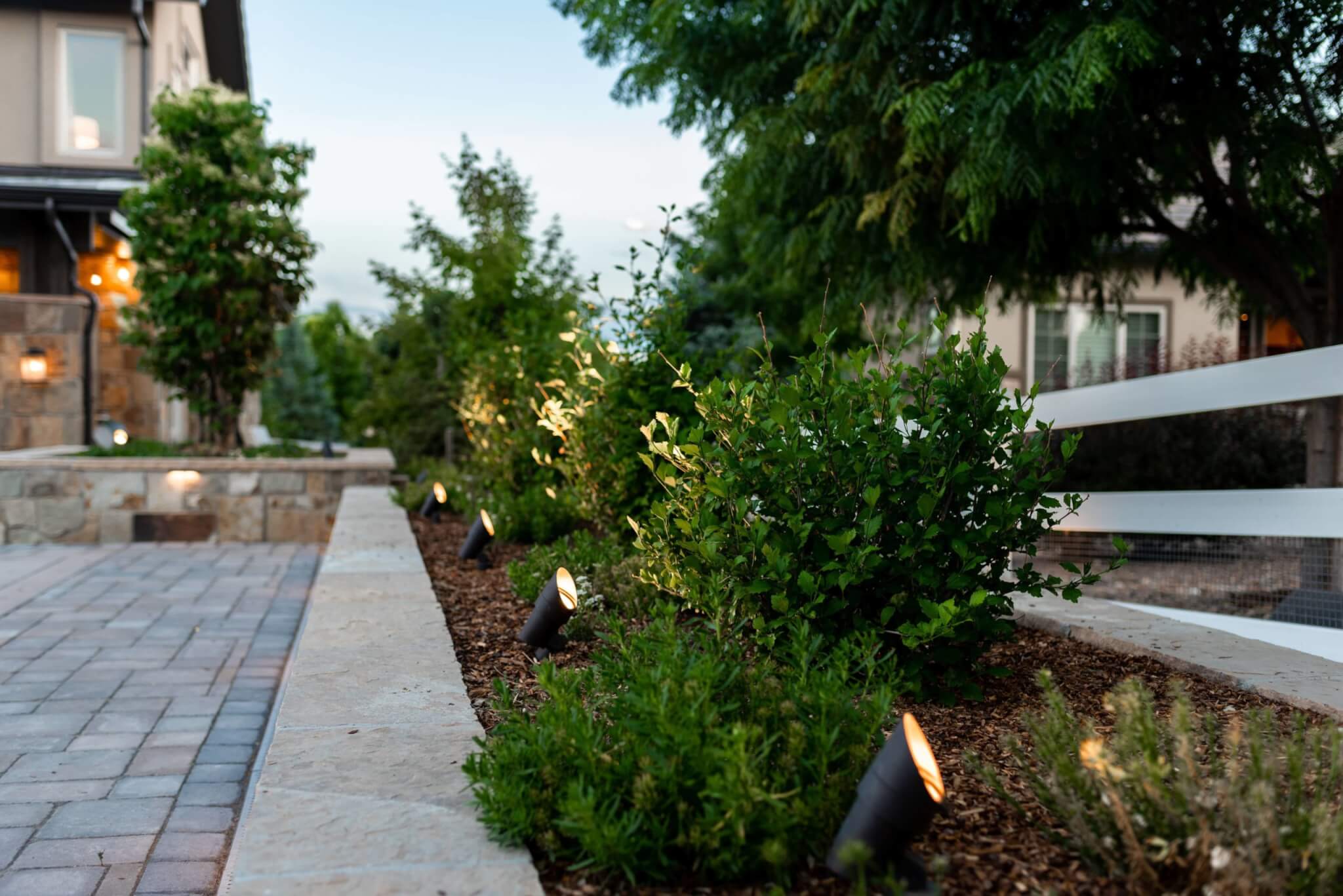 Side pathway outside of the building with some plants and lights