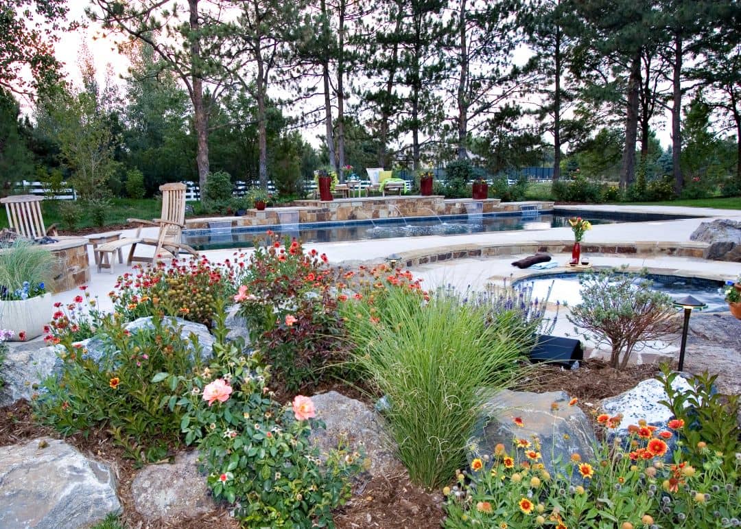 Environmentally-friendly plants surrounding a pool
