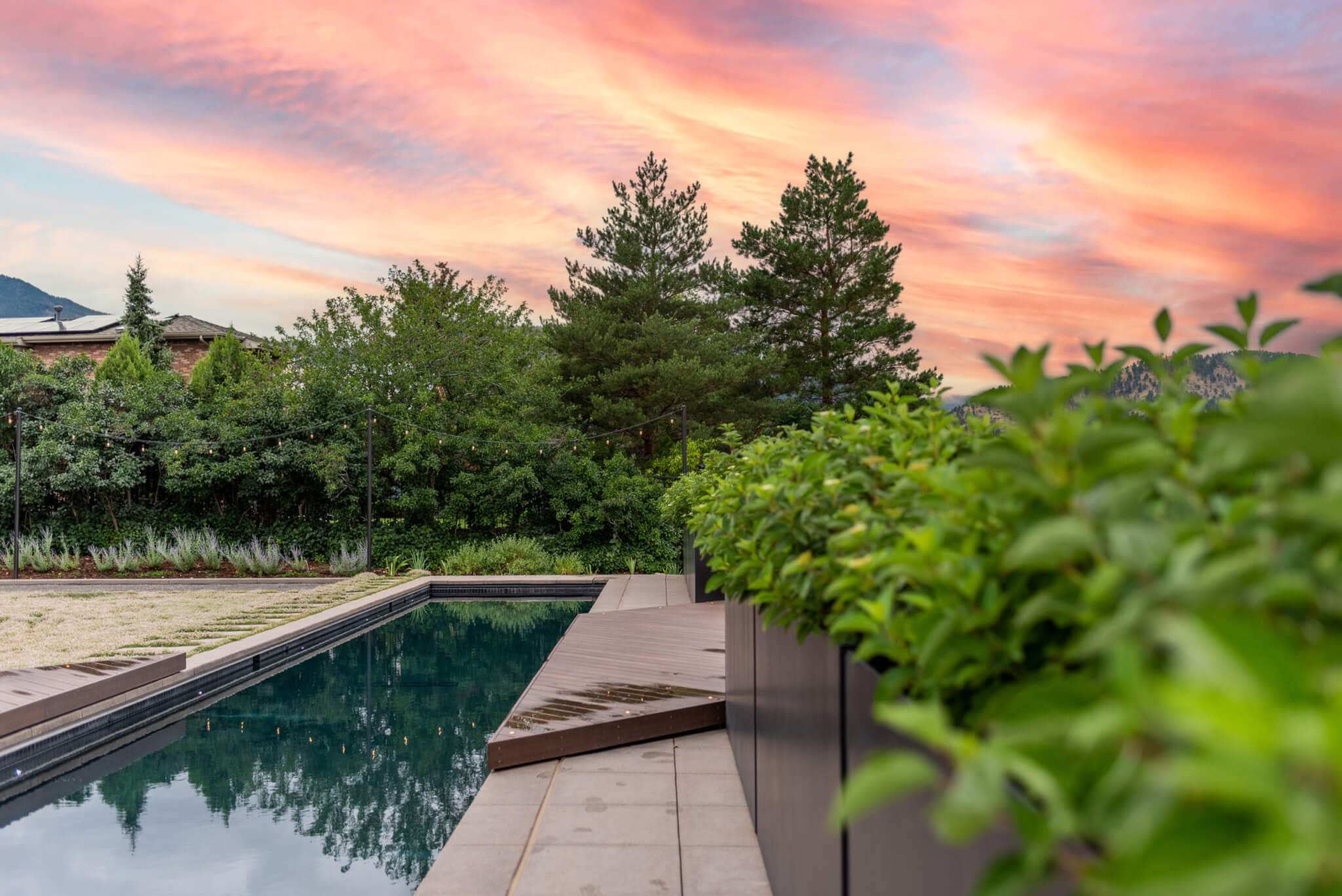 view of the swimming pool, plants along the side, and lights