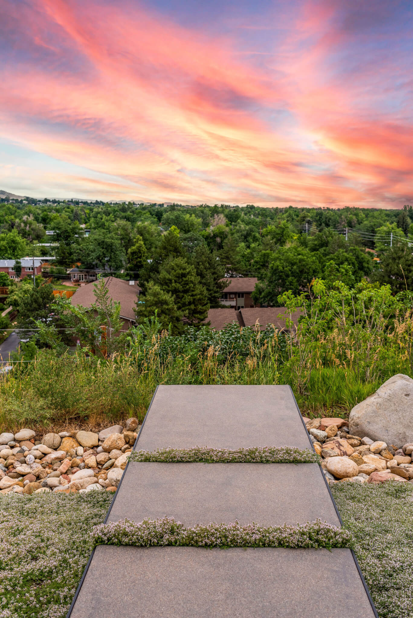 A beautiful view from the garden area