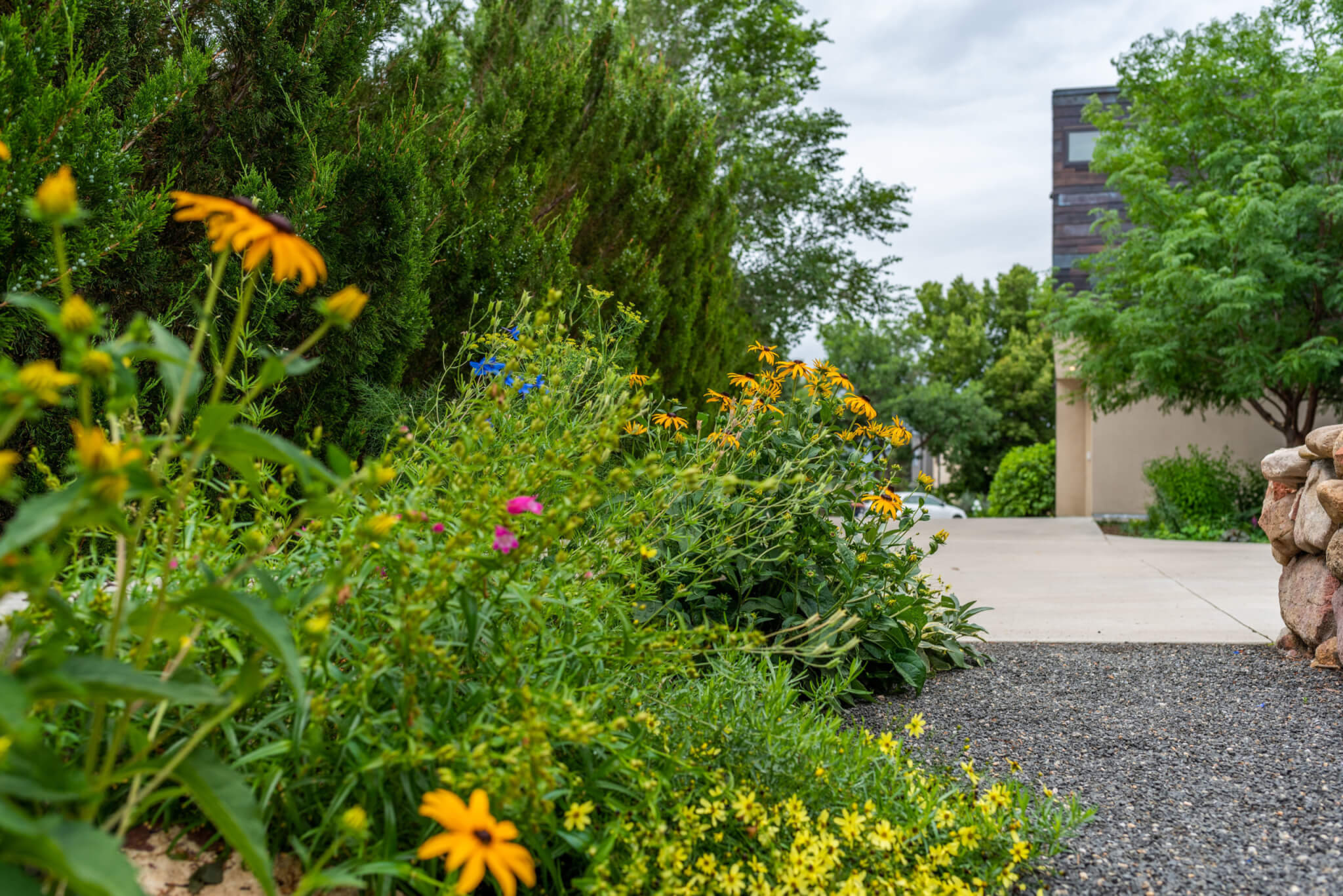 Pathway in front of the house filled with flower plants