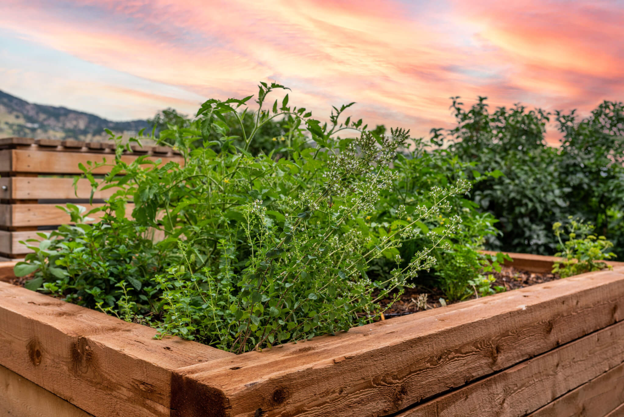 A big wooden planter box filled with plants in garden area