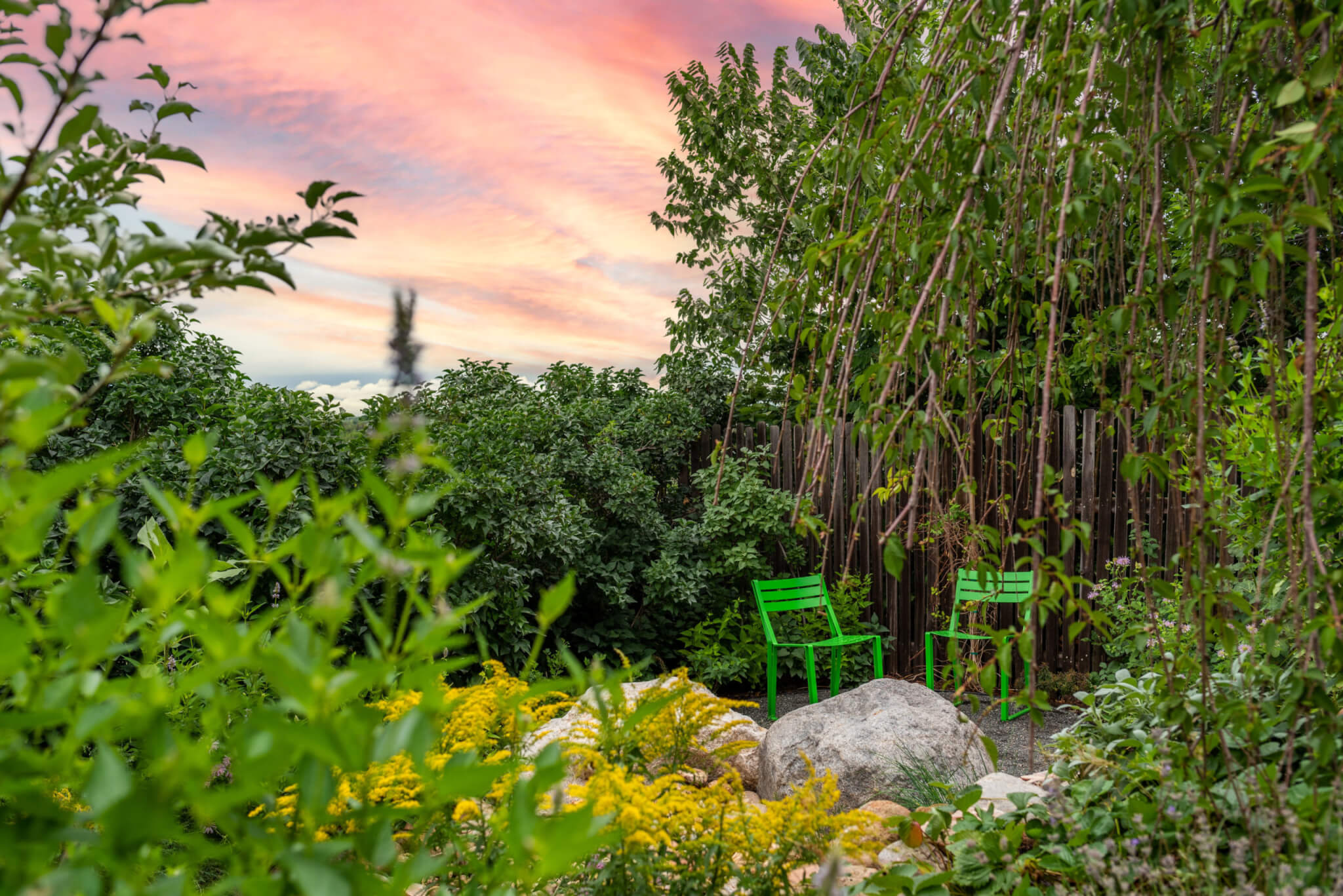 Garden with some chairs, flower plants and trees