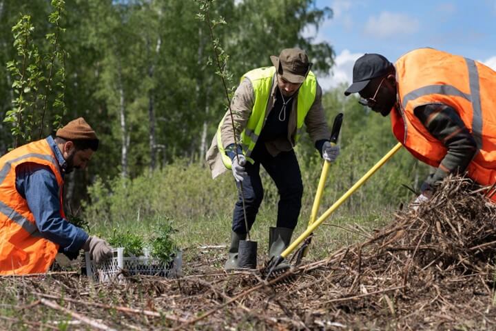 Professional landscapers applying mulch