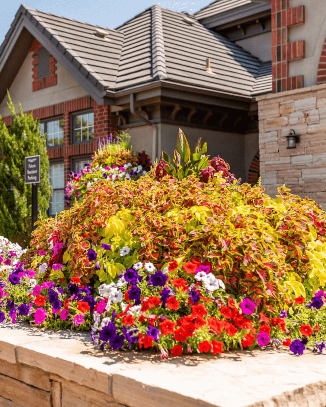 Large Annual Flower Bed in front of an Apartment club house in the Sun