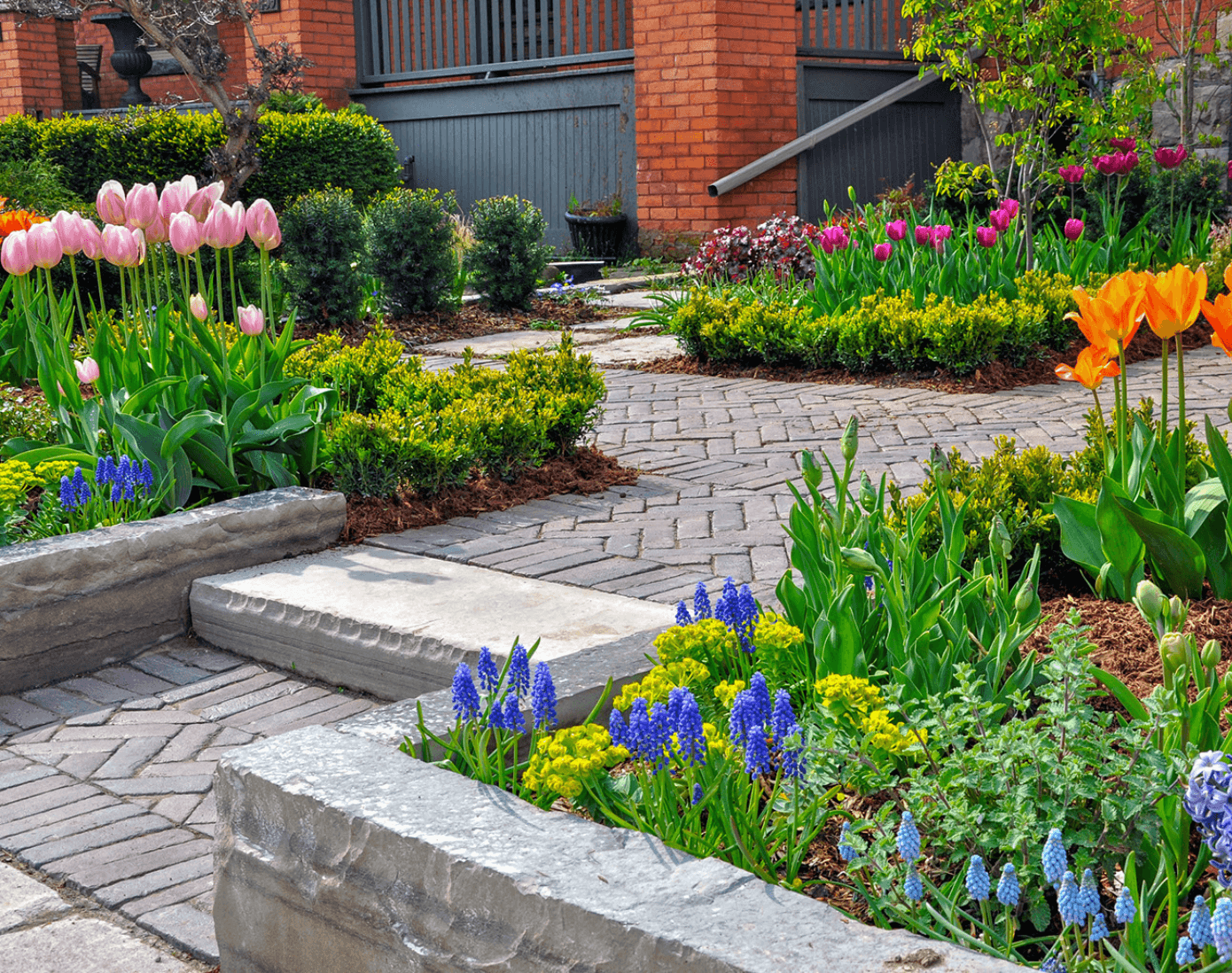 front yard patio section with pavers. Annual and perennial vegetation mixed throughout