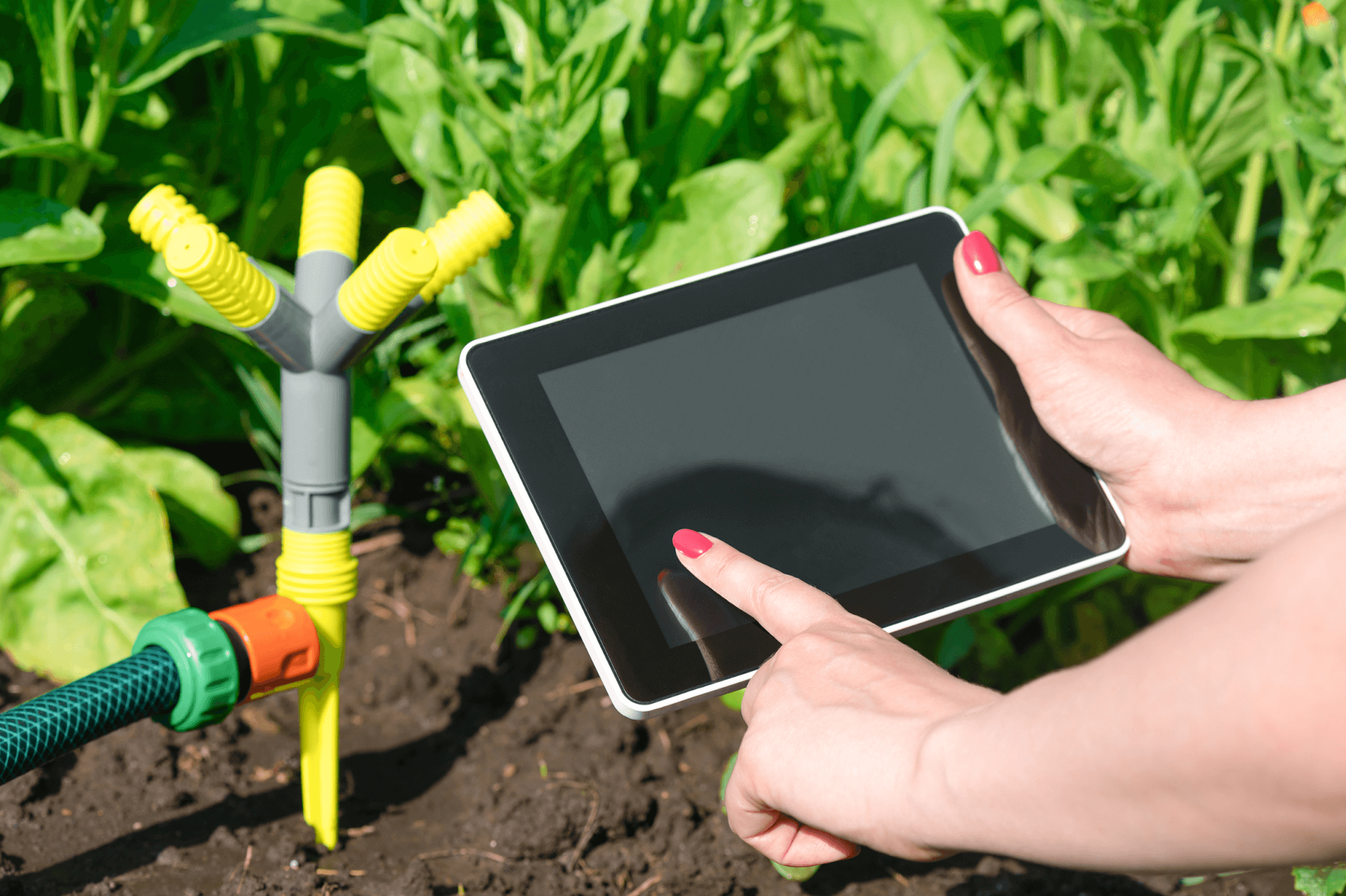 Female utilizing Smart Irrigation Systems, controlling via tablet device