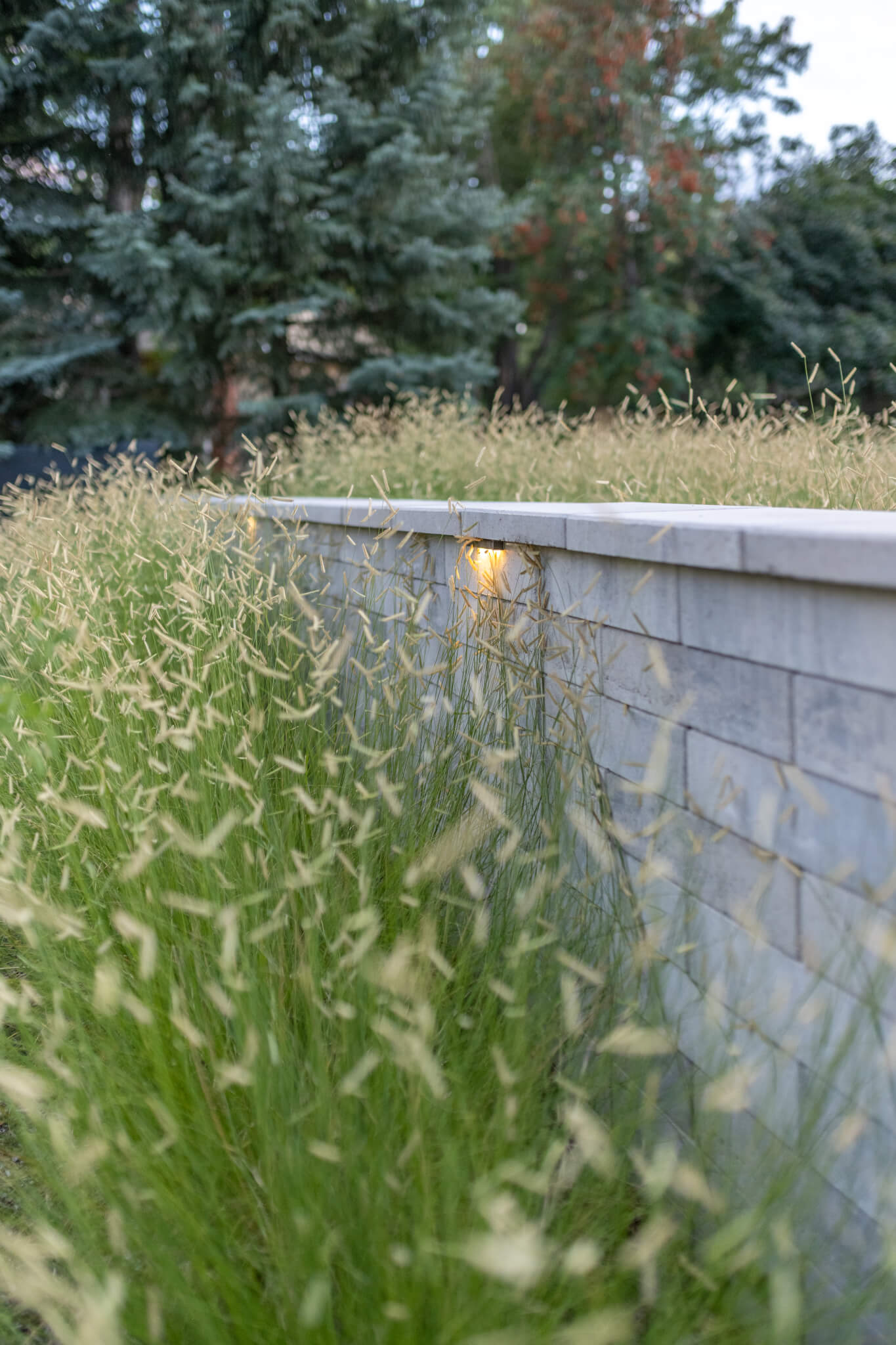 concrete wall with under shadow lights surrounded with plans on both sides